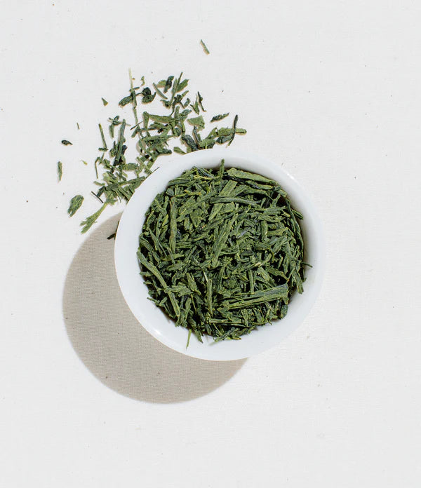 Matcha+ Tea (Matcha Plus Green Tea)