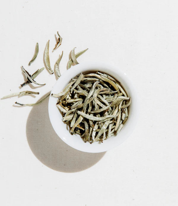 Silver Needle Tea