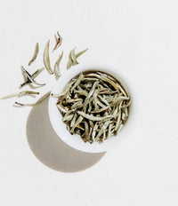 Thumbnail for Silver Needle Tea